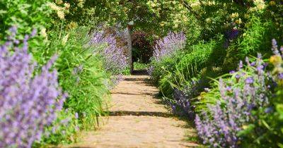 How to Get Creative with Garden Paths in Your Yard
