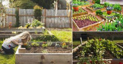 How to Make a Raised Garden Bed | What are Raised Beds |