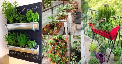 32 Balcony Kitchen Garden Ideas with Pictures