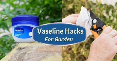 10 Vaseline Uses & Hacks For Every Gardener