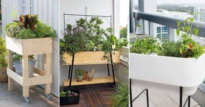 13 Raised Bed Ideas for Balcony Gardeners