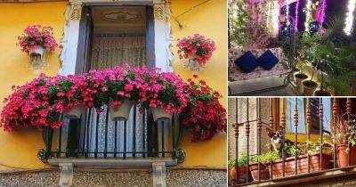 47 Instagram Balcony Gardens For Every Balcony Gardener