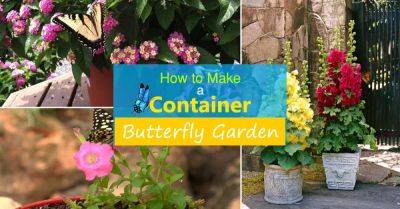 How to Make a Butterfly Container Garden | Making a Butterfly Garden
