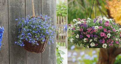 24 Best Hanging Basket Flowers | Flowering Plants for Hanging Baskets