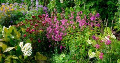 How to Design an Old-Fashioned Cottage Garden | Gardener's Path