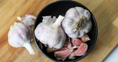 How to Plant and Grow Persian Star Garlic