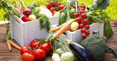 How to Fertilize Your Vegetable Garden