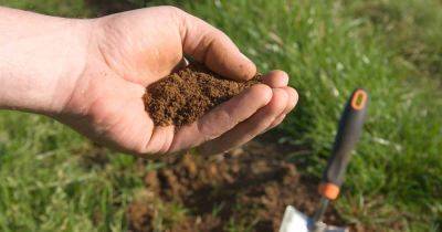 How to Test Soil in the Home Garden