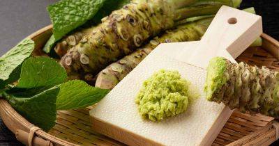 How to Plant and Grow Wasabi