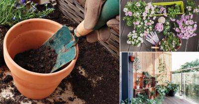110+ Container Gardening Tips You Ever Need To Know
