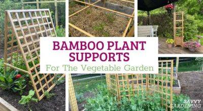 Bamboo Plant Supports for Gardens and Raised Beds