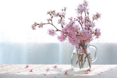How to Force Branches From Flowering Trees & Shrubs to Bloom Indoors