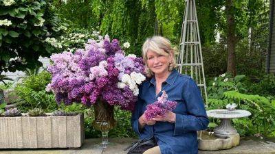 What we can learn from Martha Stewart's Bedford garden | House & Garden