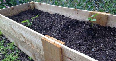 Make These Easy DIY Raised Beds (With Instructions) | Gardener's Path