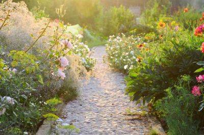 Keep Your Late Summer Garden Going Strong -Gardeners Path