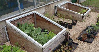 How to Overwinter Plants in a Cold Frame