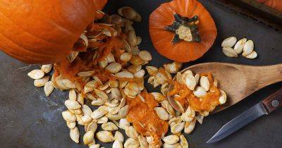 How to Save Pumpkin Seeds to Plant Next Year