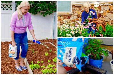 8 Common Gardening Mistakes (And How To Fix Them!)