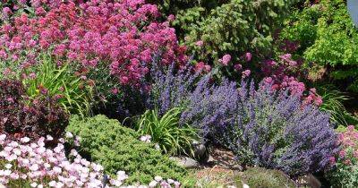 Guide to Low-Maintenance Landscaping | Gardener's Path