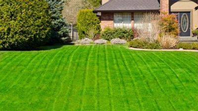 The Best Tips for a Luscious, Healthy Lawn | Gardener's Path