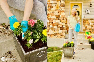 11 Tips For Planting Flower Pots That Will Thrive
