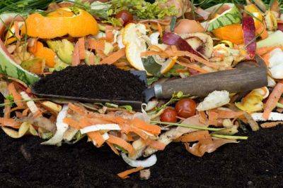 How to Get Started With Composting | Gardener's Path