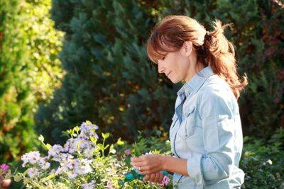 Grow Your Own Cut Flower Garden | Gardener's Path