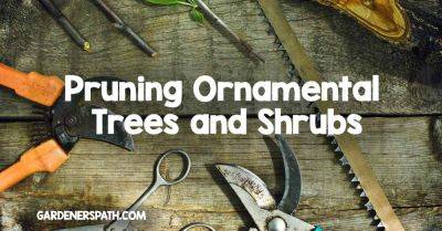 Pruning Ornamental Trees and Shrubs | Gardener's Path