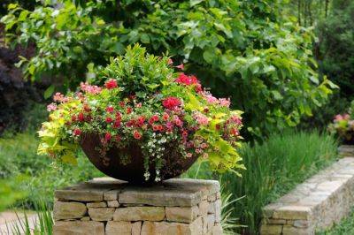 What Is the Best Material for Plant Pots, Containers, and Planters? | GP