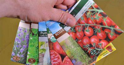 How to Read Seed Packets for Planting Success | Gardener's Path