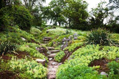 Using the Natural Enviroment in Landscaping | Gardener's Path