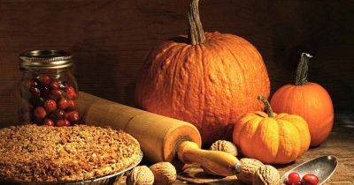 Pie Pumpkins: 11 of the Best Varieties to Grow for Puree