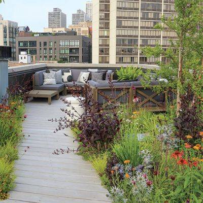 An Urban Rooftop Garden for Pollinators