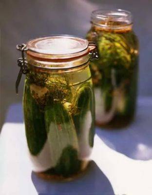 into the drink: making pickles, drowning beetles