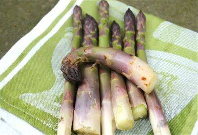 the age of asparagus, and a 5-cookbook giveaway!