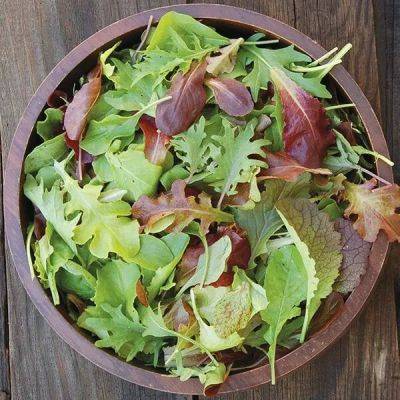microgreens to baby-leaf to full-size heads: mastering lettuce, with tom stearns