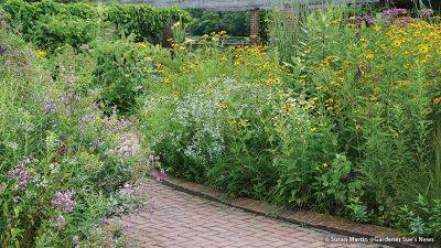Native Prairie Plants for Any Size Garden