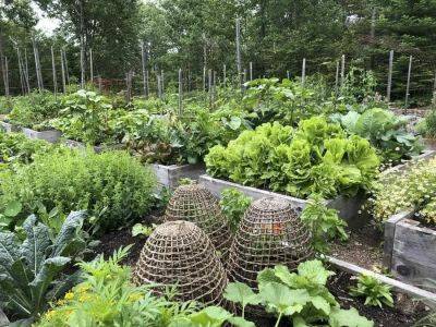 extend your vegetable garden season, with niki jabbour