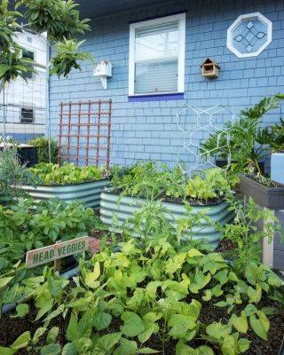 raised beds, grow bags and more, with epic gardening’s kevin espiritu