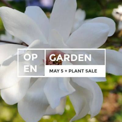 may 5 open day & plant sale, floral workshops, plus cooking with herbs classes