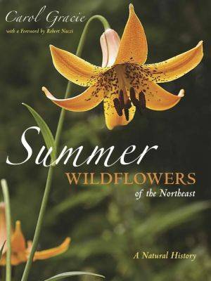 a closer look at summer wildflowers, with carol gracie