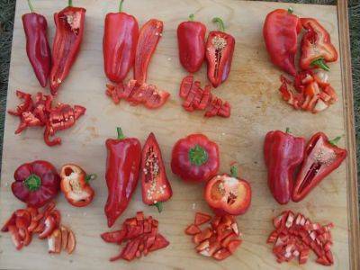 how to grow a wide world of peppers, with adaptive seeds’ sarah kleeger