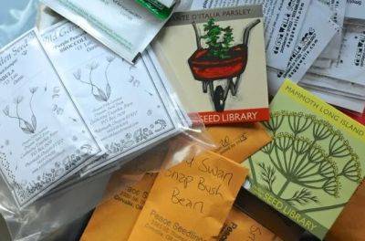 my 2013 seed order, heavy on the legumes