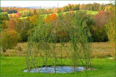 creating living willow structures, with michael dodge