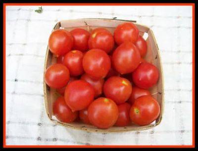 finally waking up to ‘riesentraube’ tomato