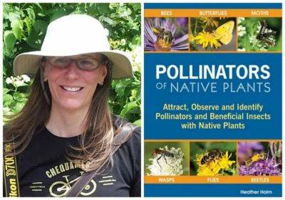 ‘pollinators of native plants,’ with heather holm