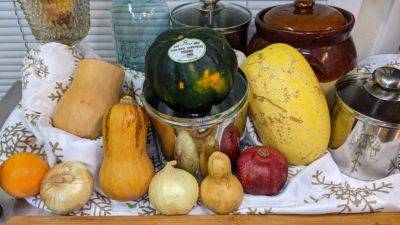 Is It A Decoration? Is It Food? The Many Uses and Types of Fall and Winter Squash