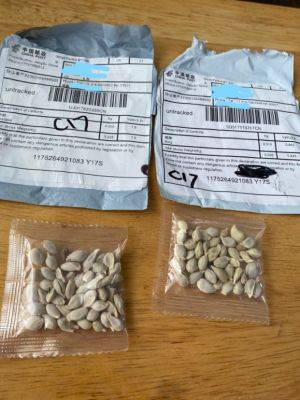 Caution Urged After Mystery Seed Mailings