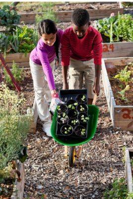 A Step-by-Step Guide to School or Community Garden Clean-up