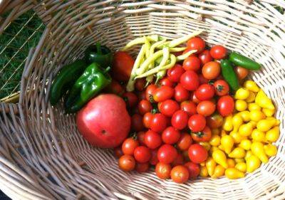 Healthy Tips – Tomatoes